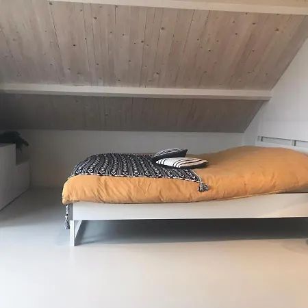 Family Beach House Dina Zandvoort דירה
